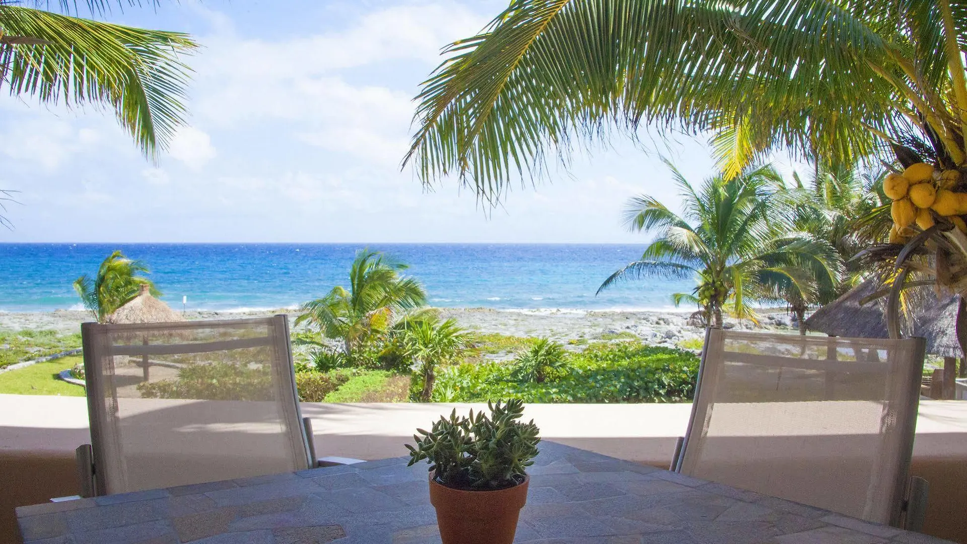 Homing Bird Apartments Puerto Aventuras